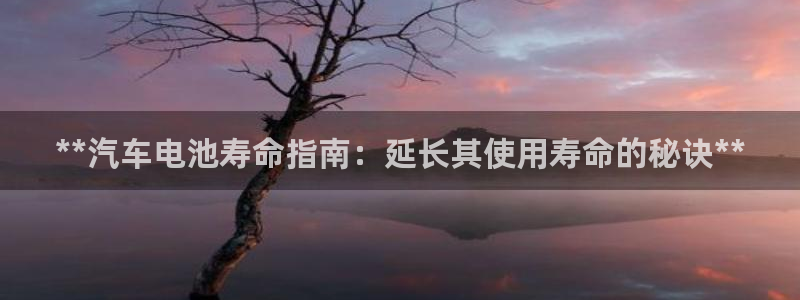 优发国际网站官网