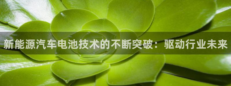 优发国际是什么