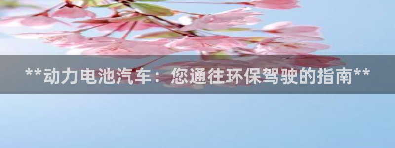 优发国际手机安装登录不了