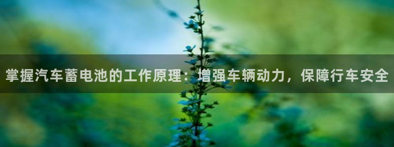 优发国际安卓版下载安装最新版