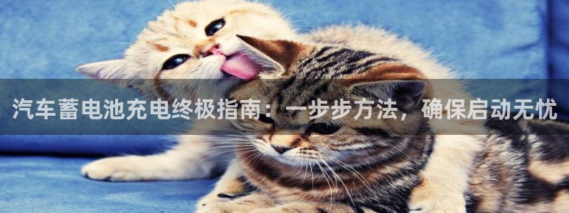 优发国际网官网17k8