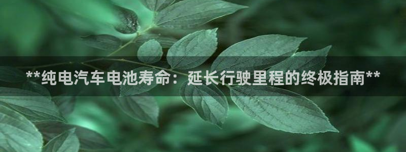 优发国际平台app下载安装