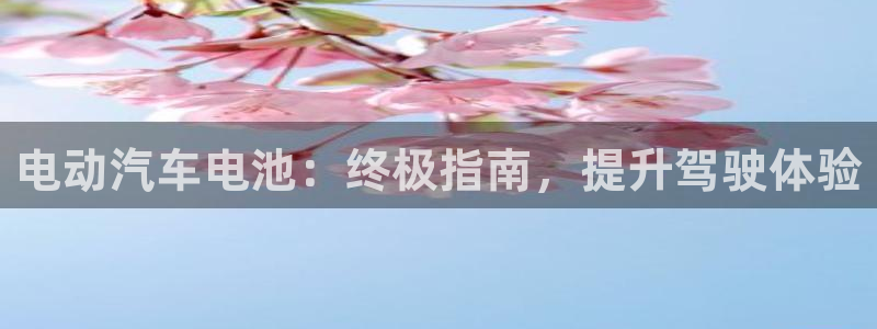 优发国际手机app下载地址
