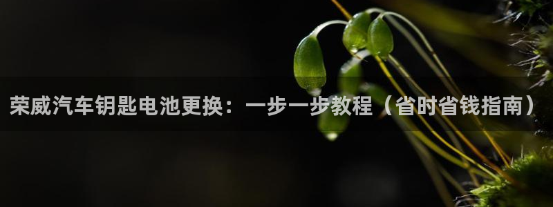 优发国际不出款
