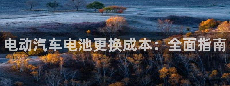 优发国际多少