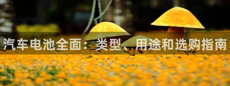优发国际网官