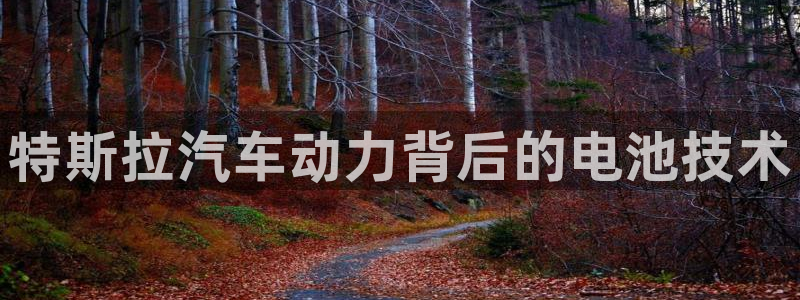 优发国际官网登录