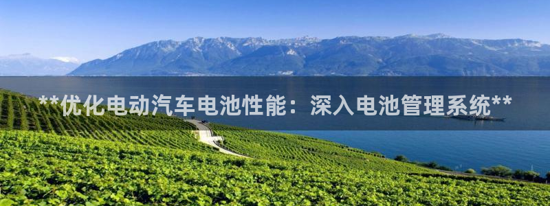 优发国际网官网17w8
