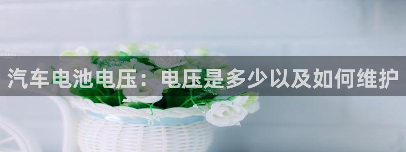 优发国际游戏官方网站入口