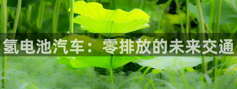 优发国际-触即发
