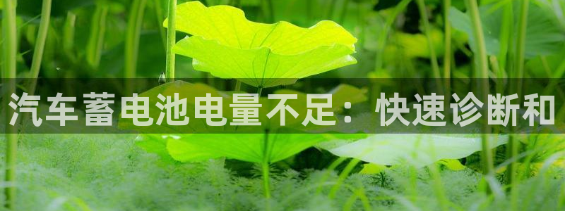 优发国际官网手机版入口