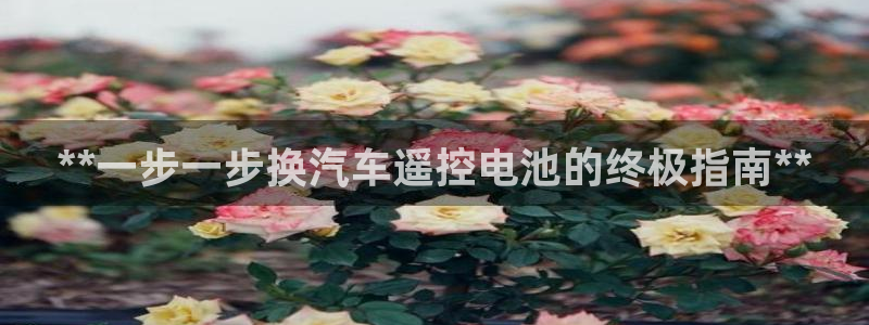 优发国际平台手机版下载官网