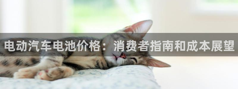 优发国际不出款怎么办