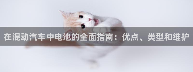 优发国际在哪里下载