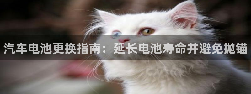 优发娱乐国际线上营业时间