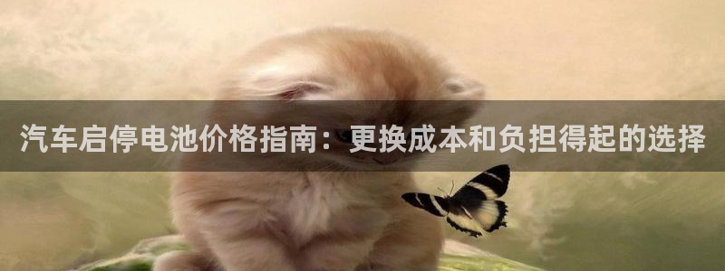 优发国际随优而动一触即发