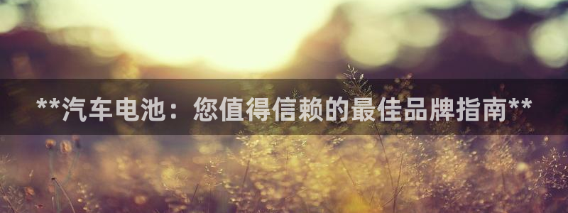 优发国际平台手机版下载