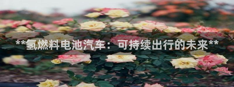 优发国际多少钱