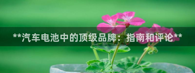 优发国际手机版网站入口