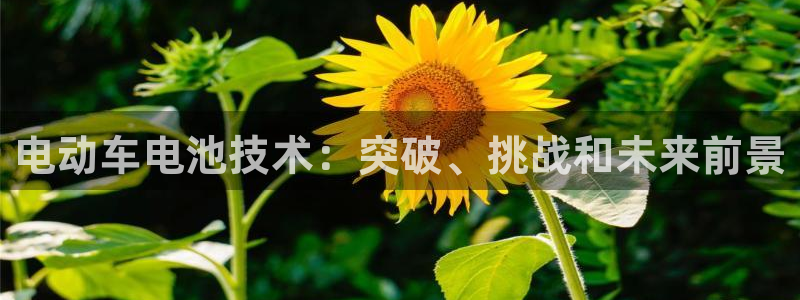 优发国际客服联系方式查询