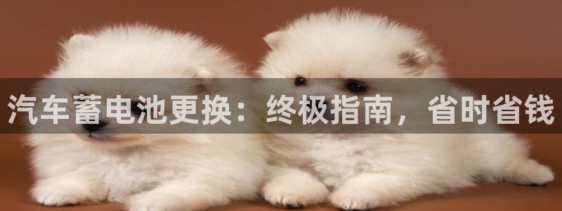 优发国际安卓版下载安装最新版