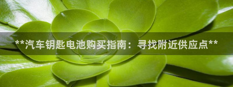 优发国际官网网站