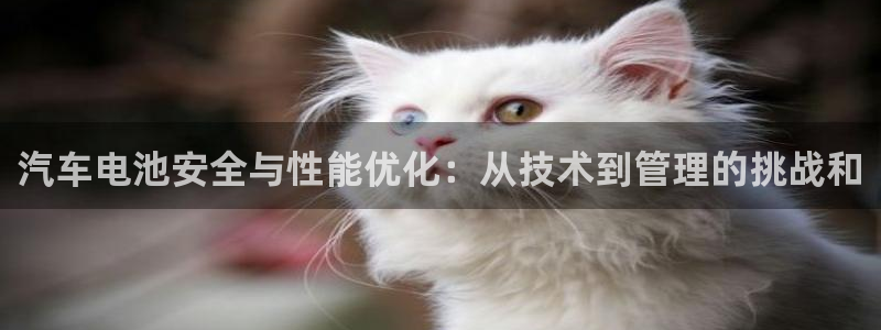 优发国际在哪里下载：汽车电池安全与性能优化：从技术到管理的挑战和