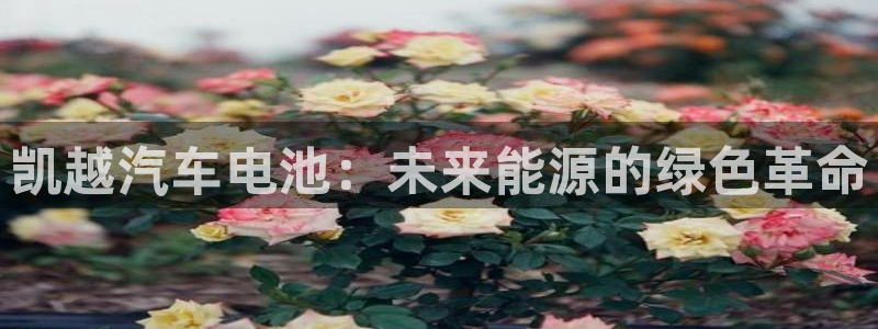 优发国际不出款
