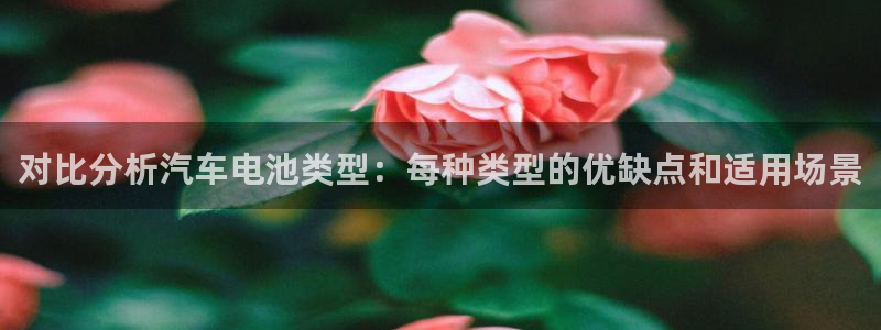 优发国际登录r8：对比分析汽车电池类型：每种类型的优缺点和适用场景