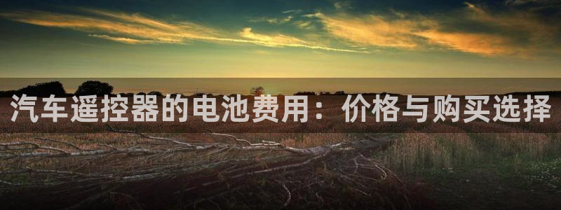优发国际是合法的吗安全吗：汽车遥控器的电池费用：价格与购买选择