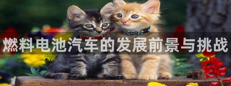 优发国际集团股份有限公司官网