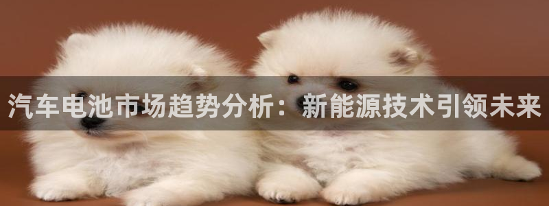 优发国际网站178