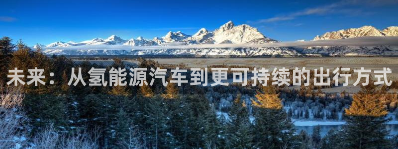 优发国际手机版下载