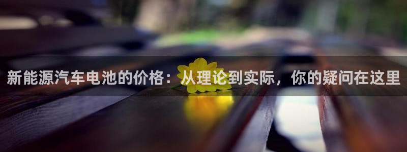 优发国际网官网17w80是什么：新能源汽车电池的价格：从理论到实际，你的疑问在这里