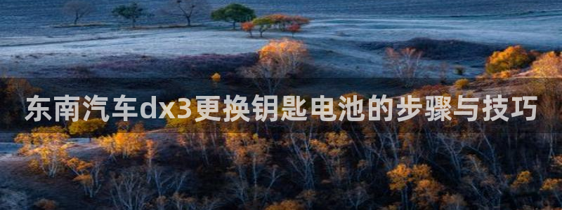 优发国际的网站是：东南汽车dx3更换钥匙电池的步骤与技巧