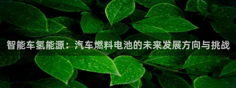 优发国际下载安装app：智能车氢能源：汽车燃料电池的未来发展方向与挑战