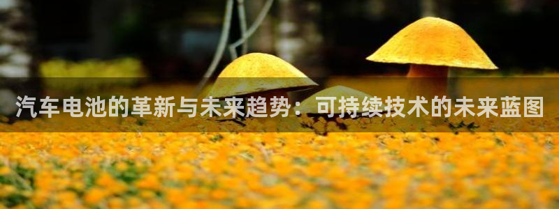 优发国际平台g80：汽车电池的革新与未来趋势：可持续技术的未来蓝图