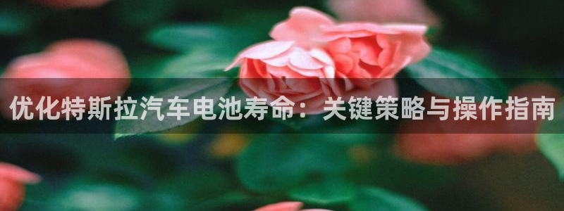 优发国际平台u8：优化特斯拉汽车电池寿命：关键策略与操作指南