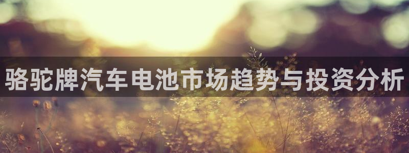优发国际登录首页官网：骆驼牌汽车电池市场趋势与投资分析