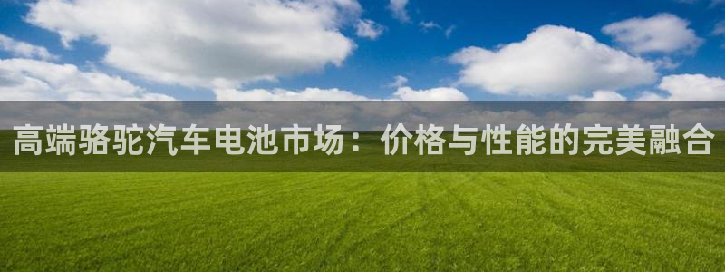 优发国际平台u8是什么软件：高端骆驼汽车电池市场：价格与性能的完美融合