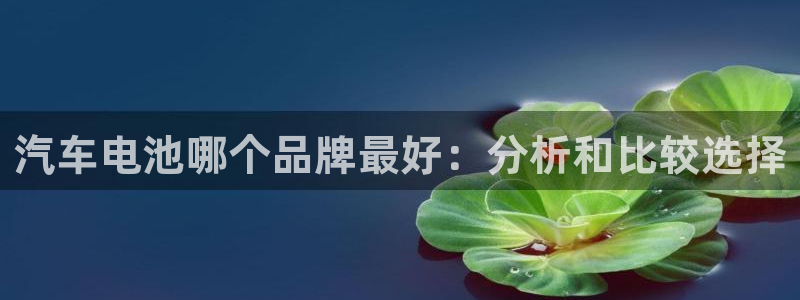 优发国际网官网址是多少：汽车电池哪个品牌最好：分析和比较选择