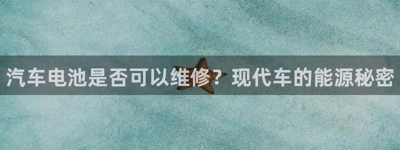 优发国际一首页：汽车电池是否可以维修？现代车的能源秘密