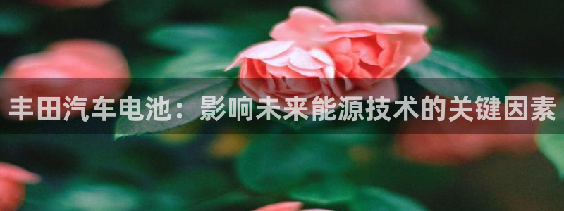 优发国际官网下载苹果版：丰田汽车电池：影