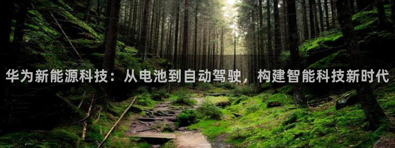 优发国际安卓版下载安装最新版：华为新能源科技：从电池到自动驾驶，构建智能科技新时代