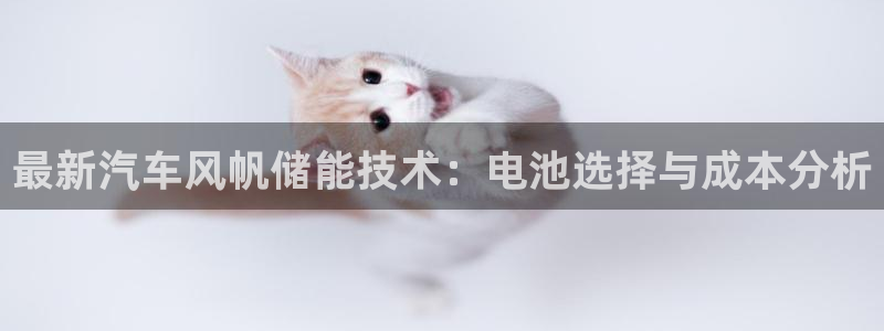 优发国际官网下载安装app：最新汽车风帆