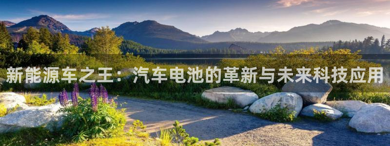 优发国际app官网下载安装苹果：新能源车之王：汽车电池的革新与未来科技应用