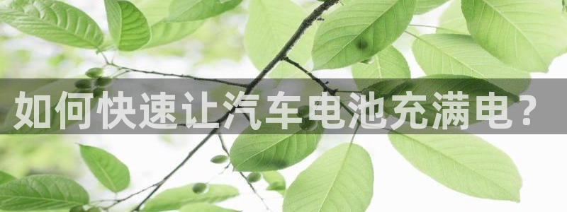 优发国际手机客户端：如何快速让汽车电池充满电？