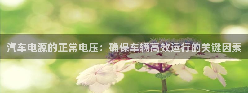 优发国际app