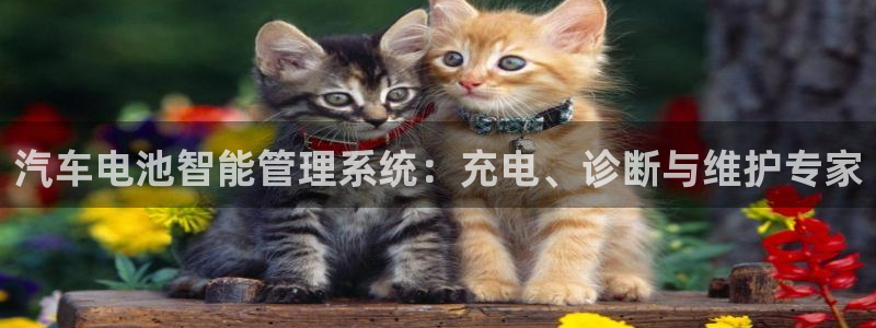 优发国际官网网站登录