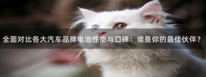 优发国际官网手机版下载苹果：全面对比各大汽车品牌电池性能与口碑：谁是你的最佳伙伴？
